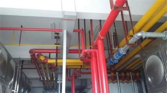 粵馳建工消防設(shè)施工程案例 佛山德聯(lián)汽車用品新建廠房工程